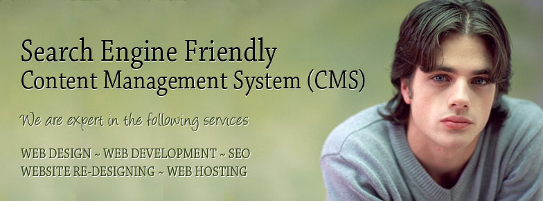 Search Engine Friendly Content Management System (CMS)