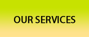 Web Multimedia Designer New Delhi India Services