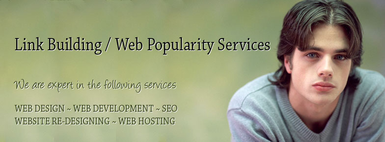 Link Building / Web Popularity Services